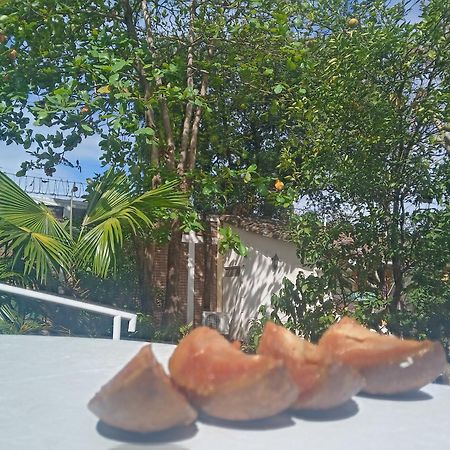 Hotel Casa Barcelona Гранада Экстерьер фото